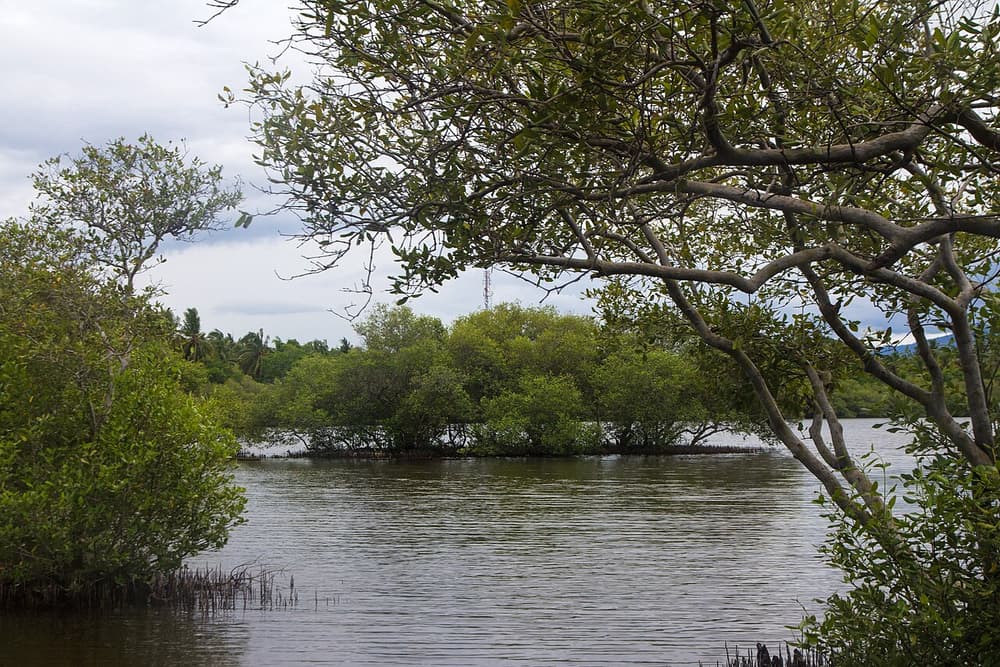 Gili Meno Lake - panoramio