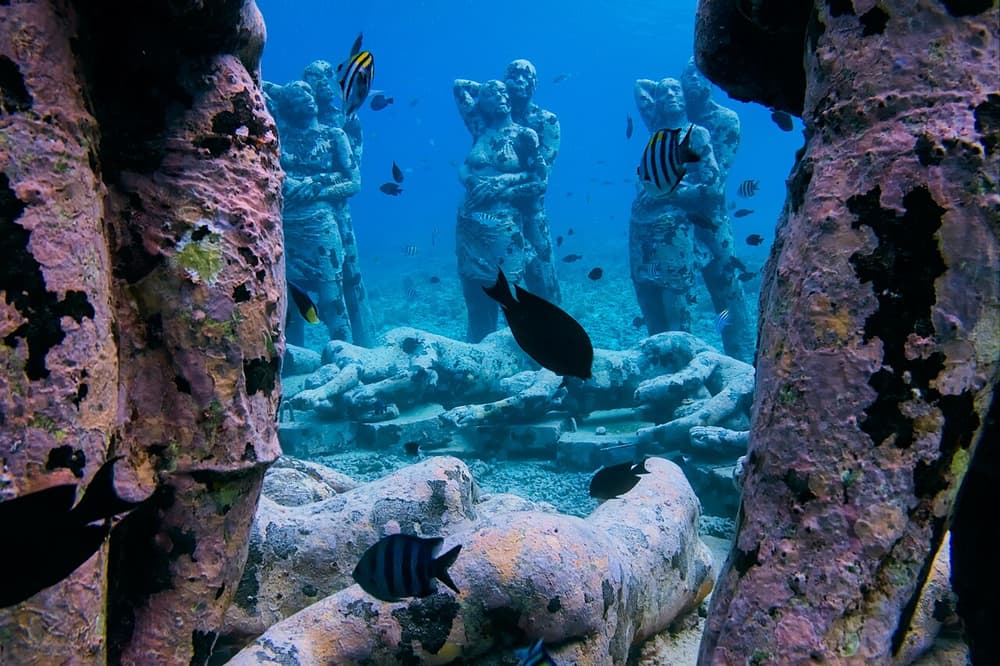 From Gili Meno: Private & Group Gili Islands Snorkelling