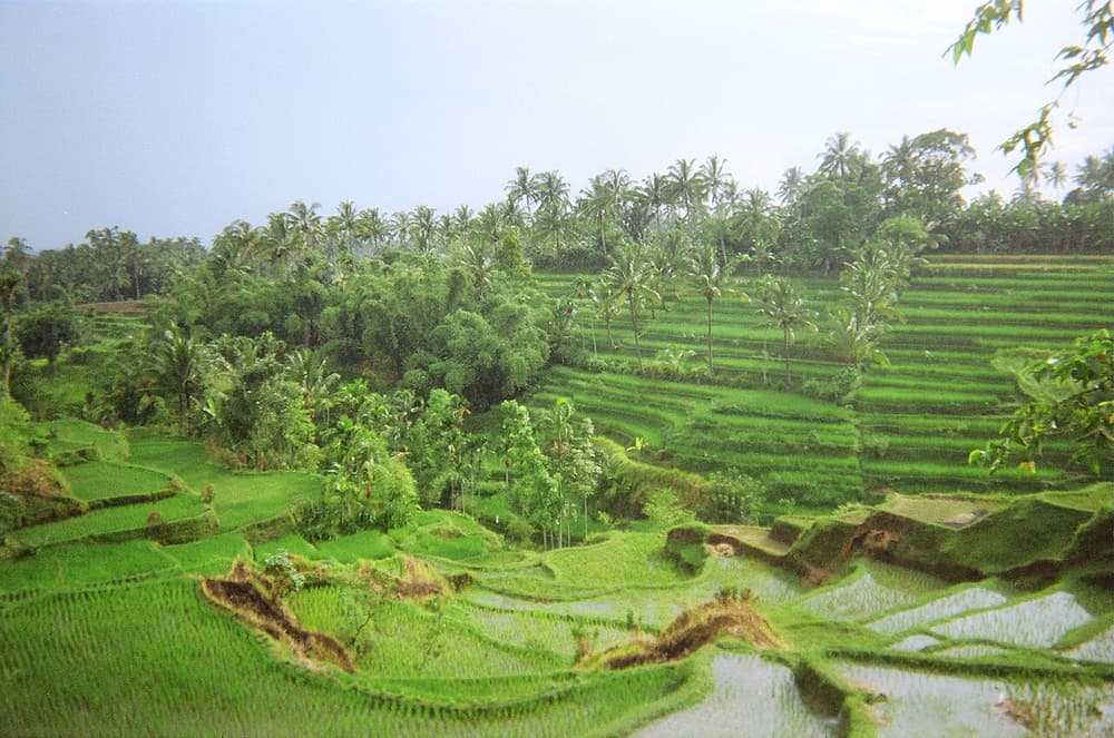 Benang Stokel & Benang Kelambu Waterfalls: Culture, Beach & Sunset
