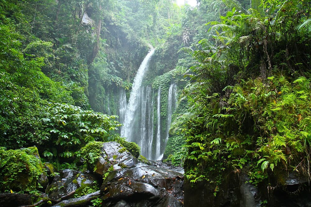 Lombok Waterfalls Adventure: Tiu Kelep & Selong Hill Trek