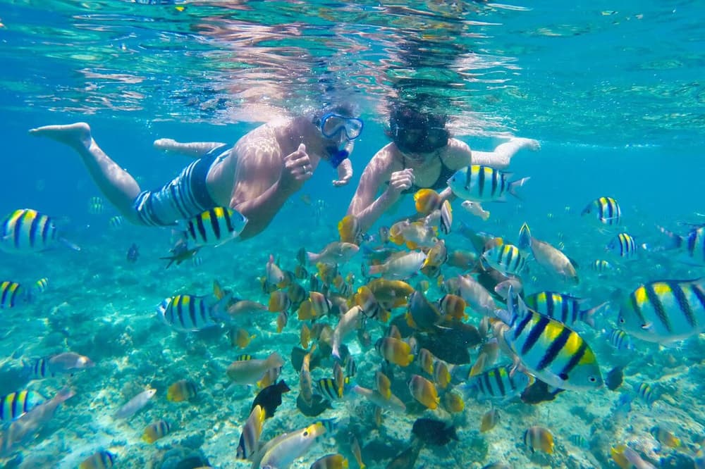 Lombok: Gili Nanggu, Sudak & Kedis Private Snorkelling Tour