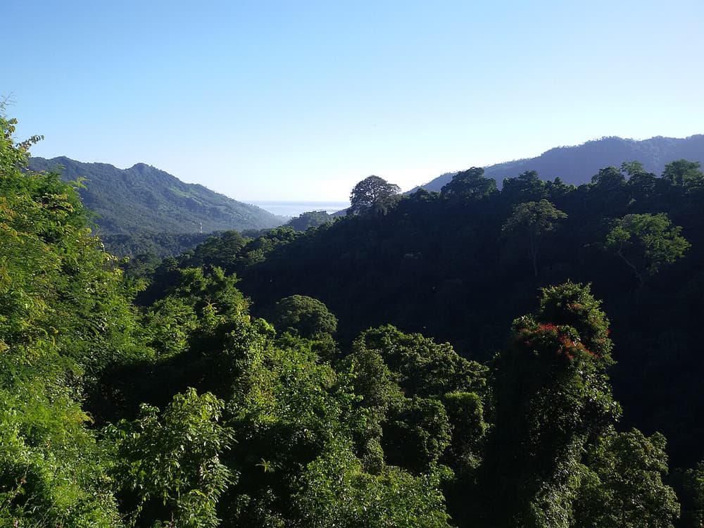 Pusuk lombok utara